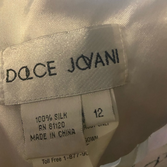Dolce Jovani Silk dress size 12 Formal Elegant Gown - Picture 8 of 8